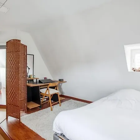 Apartment Le Cocon Alsacien