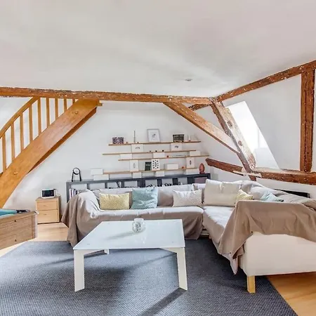 Le Cocon Alsacien Apartment