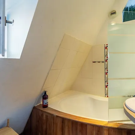 Le Cocon Alsacien Apartament *