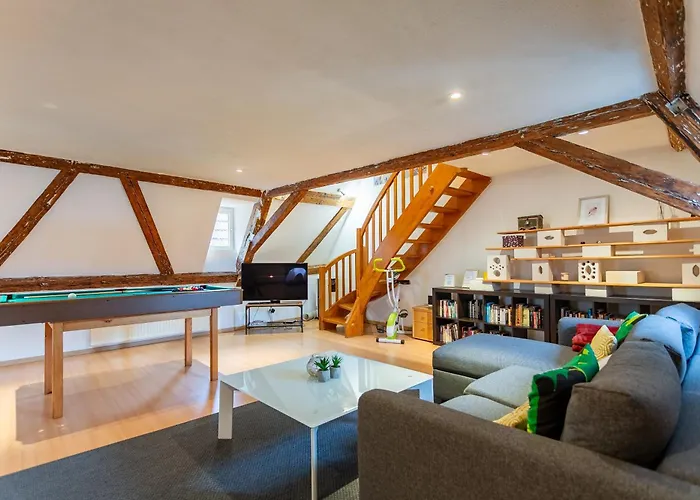 Le Cocon Alsacien Appartement Strasbourg