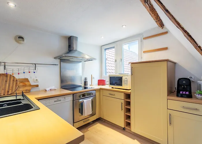 Appartement Le Cocon Alsacien *